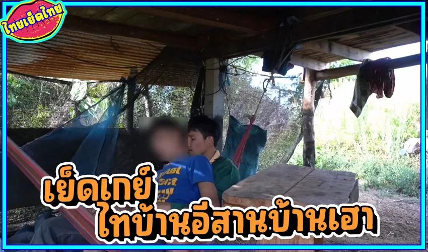 พ่อหนุ่มเลี้ยงวัว นัดหนุ่มน้อยไทบ้านมามัวเนียเสียตัวที่กระท่อมกลางไร่ นั้งเปลล้วงไข่ ชนช้างชักว่าวน้